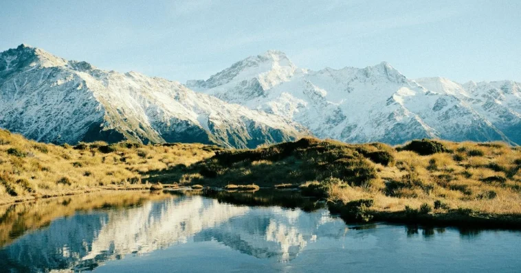 Expert New Zealand Travel Tips You Need Before You Go